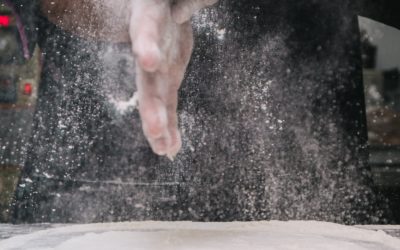 What are the Different Types of Yeast?
