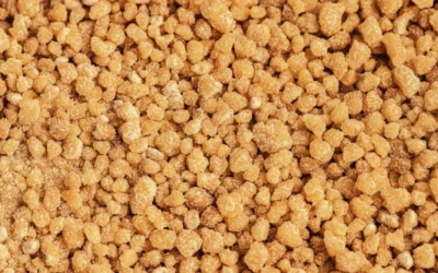 Soy Lecithin Granules: Benefits and Uses for Health